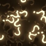 Optimiser son contenu pour Perplexity AI : ce qui fait vraiment la différence pour être cité
